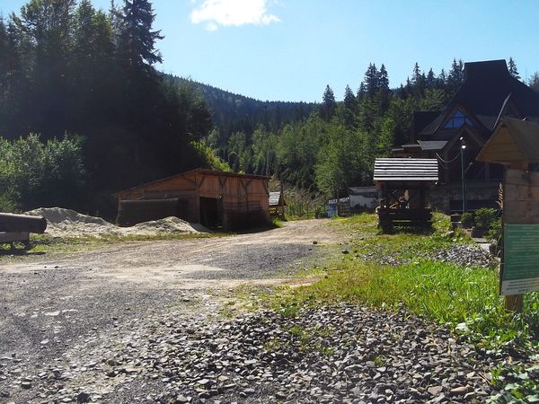 © Andrei  Kolyaskin - Brown  bear  rehabilitation  center in  village  Synevir  of  Mezhygirya  area  of  Zacarpatian  region , Ukraine .