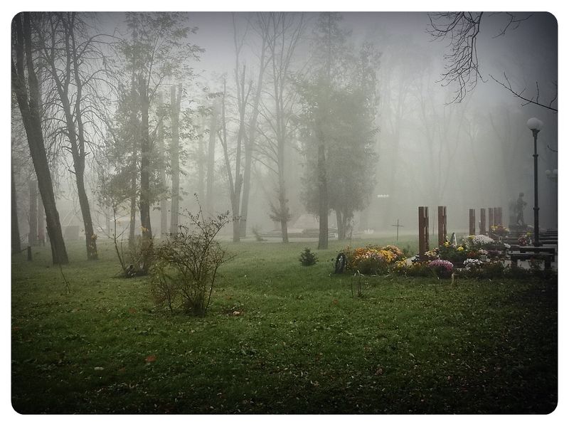 © Andrei  Kolyaskin - Foggy  morning  in  Memorial  Square  of  Ivano - Frankivsk  City , Ukraine .
