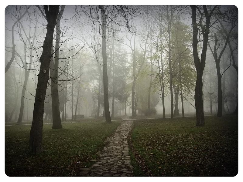 © Andrei  Kolyaskin - Foggy  morning  in  Memorial  Square  of  Ivano - Frankivsk  City , Ukraine .