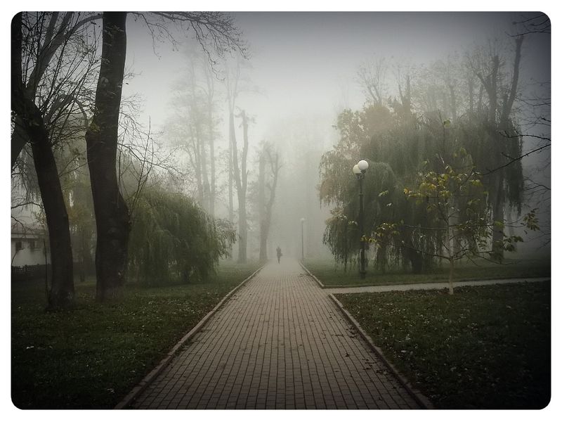 © Andrei  Kolyaskin - Foggy  morning  in  Memorial  Square  of  Ivano - Frankivsk  City , Ukraine .