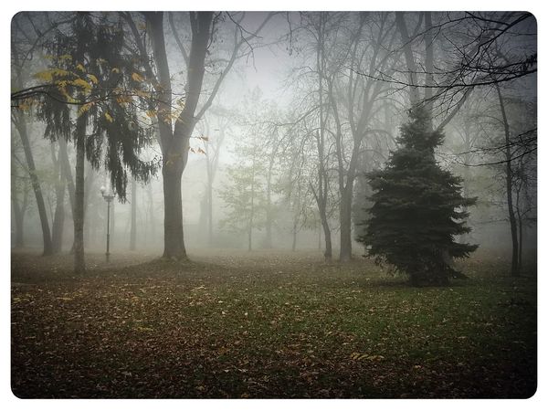 © Andrei  Kolyaskin - Foggy  morning  in  Memorial  Square  of  Ivano - Frankivsk  City , Ukraine .