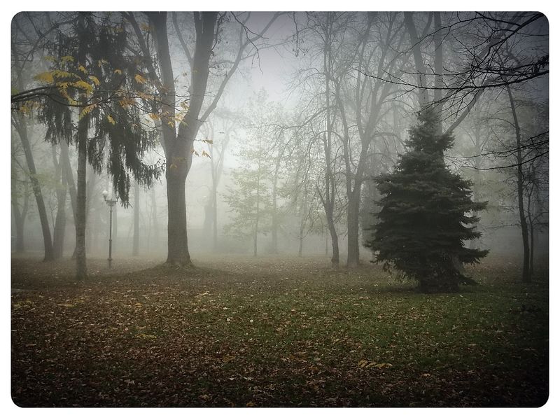 © Andrei  Kolyaskin - Foggy  morning  in  Memorial  Square  of  Ivano - Frankivsk  City , Ukraine .