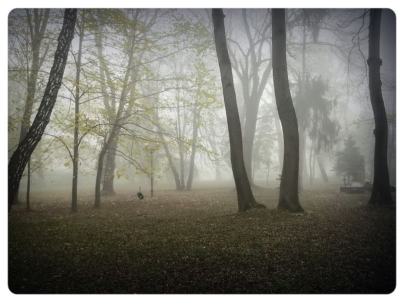 © Andrei  Kolyaskin - Foggy  morning  in  Memorial  Square  of  Ivano - Frankivsk  City , Ukraine .