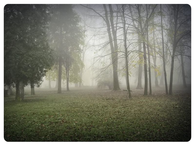 © Andrei  Kolyaskin - Foggy  morning  in  Memorial  Square  of  Ivano - Frankivsk  City , Ukraine .