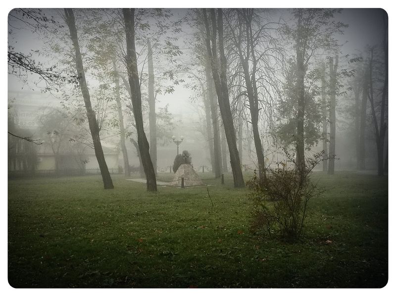 © Andrei  Kolyaskin - Foggy  morning  in  Memorial  Square  of  Ivano - Frankivsk  City , Ukraine .