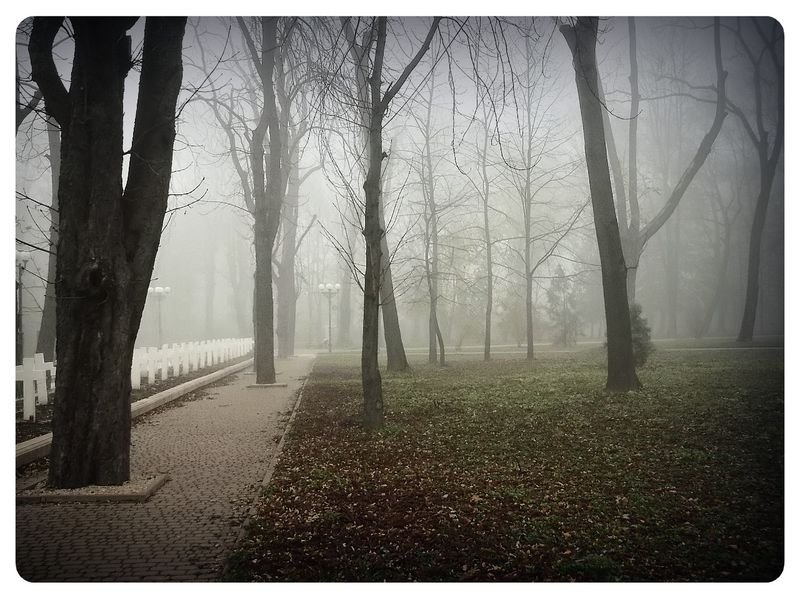 © Andrei  Kolyaskin - Foggy  morning  in  Memorial  Square  of  Ivano - Frankivsk  City , Ukraine .