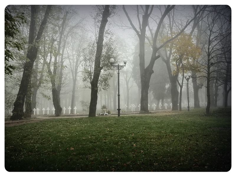 © Andrei  Kolyaskin - Foggy  morning  in  Memorial  Square  of  Ivano - Frankivsk  City , Ukraine .