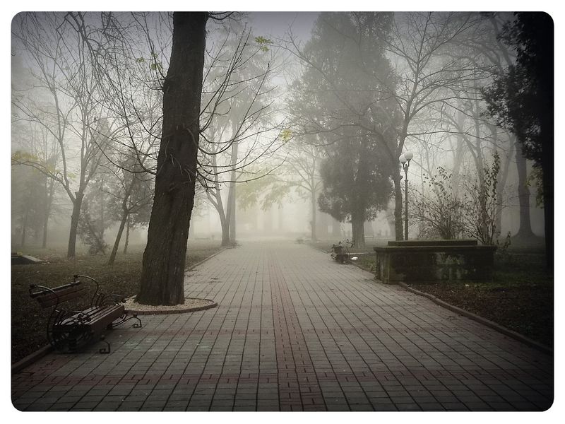 © Andrei  Kolyaskin - Foggy  morning  in  Memorial  Square  of  Ivano - Frankivsk  City , Ukraine .