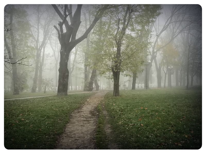 © Andrei  Kolyaskin - Foggy  morning  in  Memorial  Square  of  Ivano - Frankivsk  City , Ukraine .