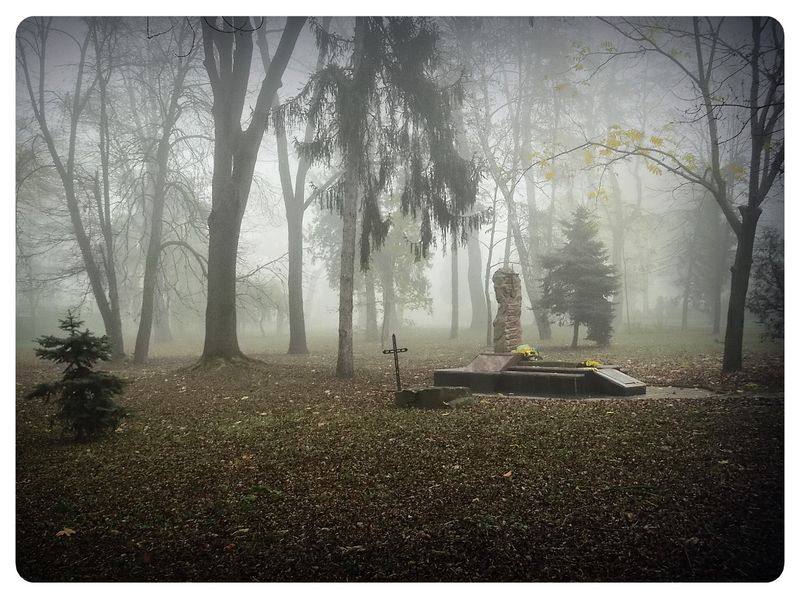 © Andrei  Kolyaskin - Foggy  morning  in  Memorial  Square  of  Ivano - Frankivsk  City , Ukraine .