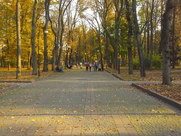 © Andrei  Kolyaskin - Autumn  in  Ivano - Frankivsk  City ,  Ukraine .