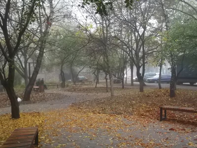 © Andrei  Kolyaskin - Autumn  in  Ivano - Frankivsk  City ,  Ukraine .