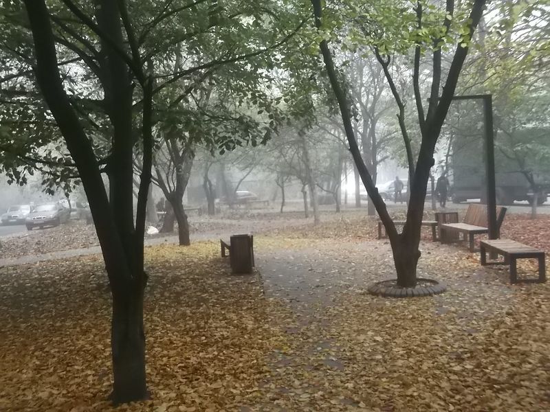 © Andrei  Kolyaskin - Autumn  in  Ivano - Frankivsk  City ,  Ukraine .