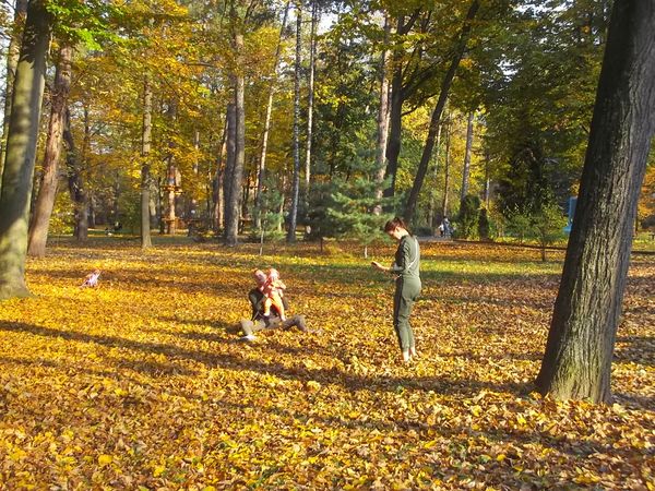 © Andrei  Kolyaskin - Autumn  in  Ivano - Frankivsk  City ,  Ukraine .