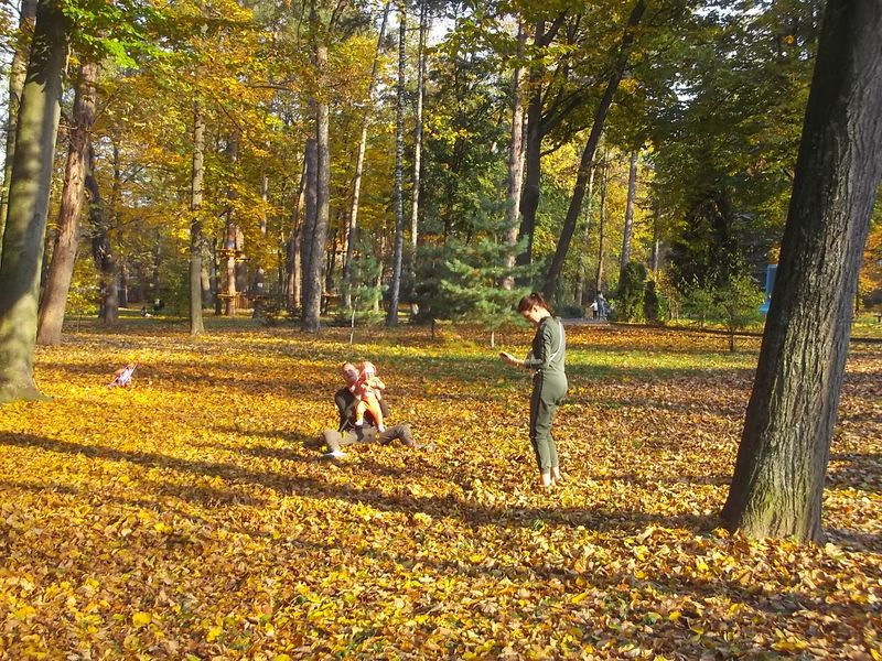 © Andrei  Kolyaskin - Autumn  in  Ivano - Frankivsk  City ,  Ukraine .