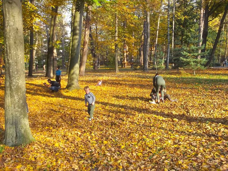 © Andrei  Kolyaskin - Autumn  in  Ivano - Frankivsk  City ,  Ukraine .