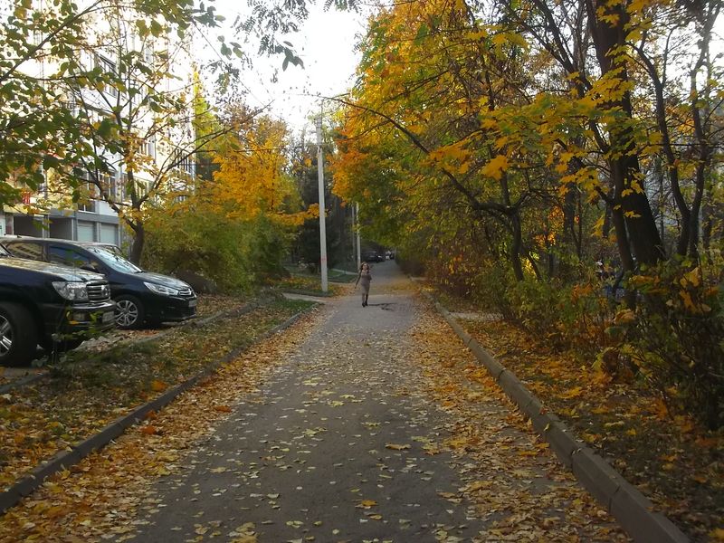 © Andrei  Kolyaskin - Autumn  in  Ivano - Frankivsk  City ,  Ukraine .