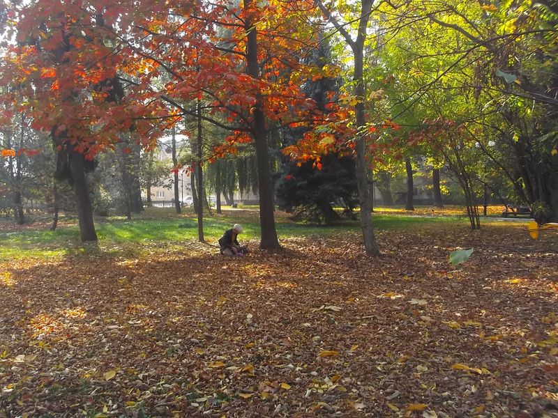 © Andrei  Kolyaskin - Autumn  in  Ivano - Frankivsk  City ,  Ukraine .
