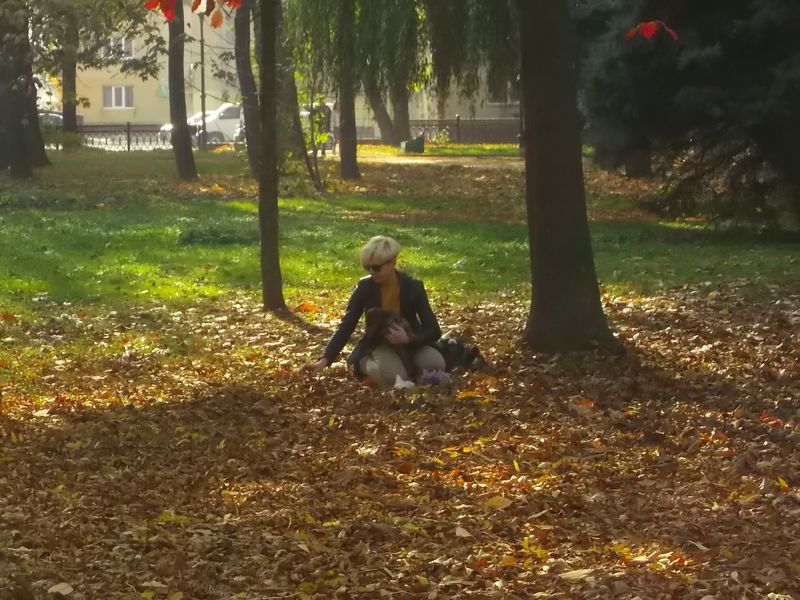 © Andrei  Kolyaskin - Autumn  in  Ivano - Frankivsk  City ,  Ukraine .