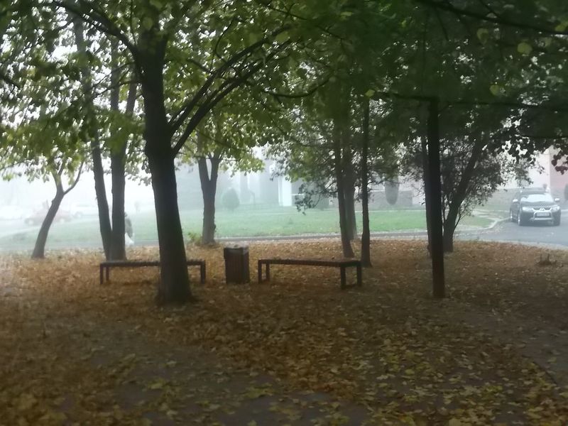 © Andrei  Kolyaskin - Autumn  in  Ivano - Frankivsk  City ,  Ukraine .