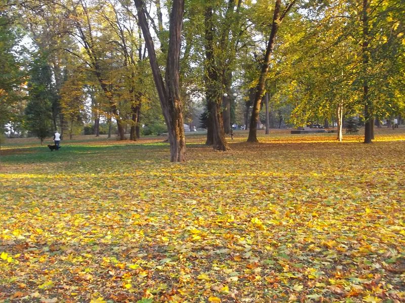 © Andrei  Kolyaskin - Autumn  in  Ivano - Frankivsk  City ,  Ukraine .