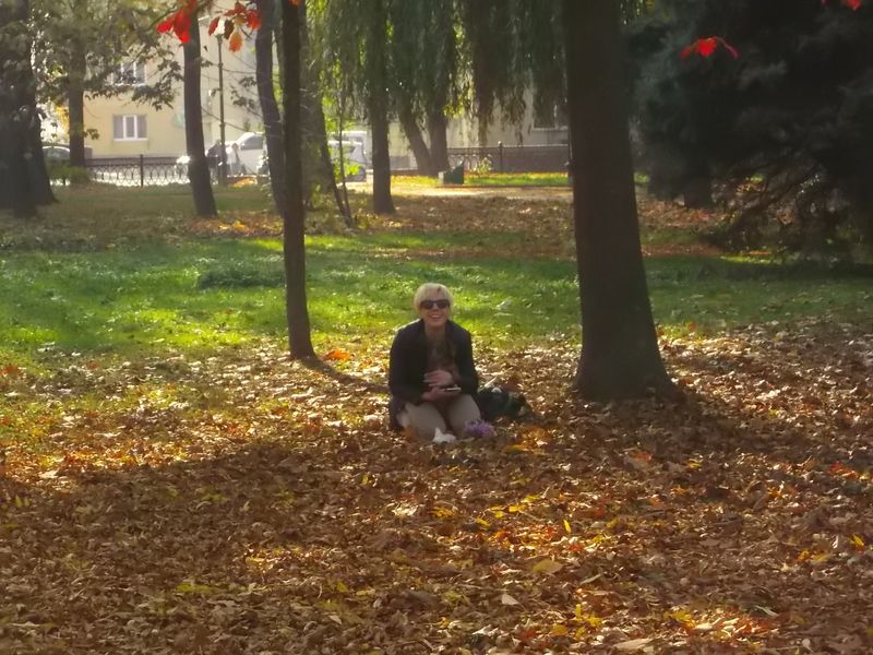 © Andrei  Kolyaskin - Autumn  in  Ivano - Frankivsk  City ,  Ukraine .