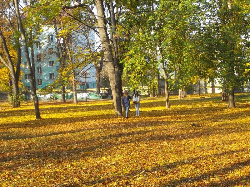 © Andrei  Kolyaskin - Autumn  in  Ivano - Frankivsk  City ,  Ukraine .