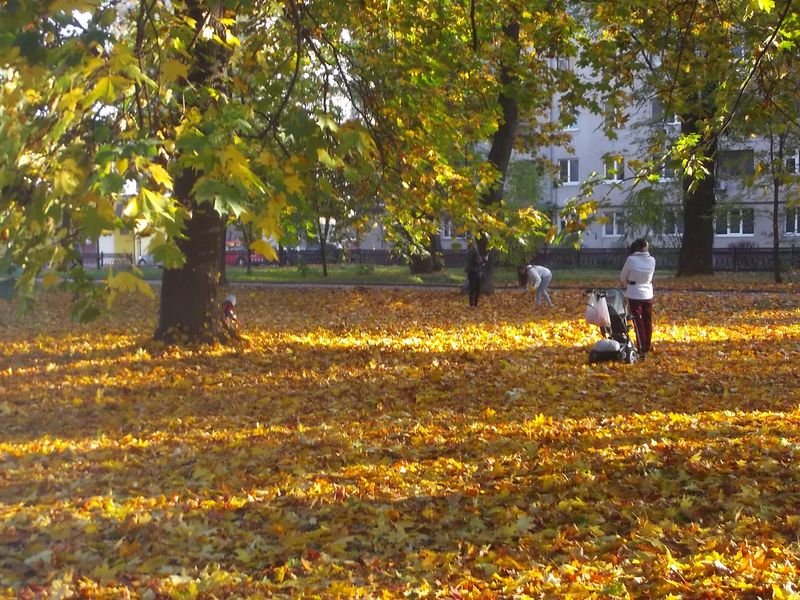 © Andrei  Kolyaskin - Image from the Autumn  in  Ivano - Frankivsk  City  2 photography project
