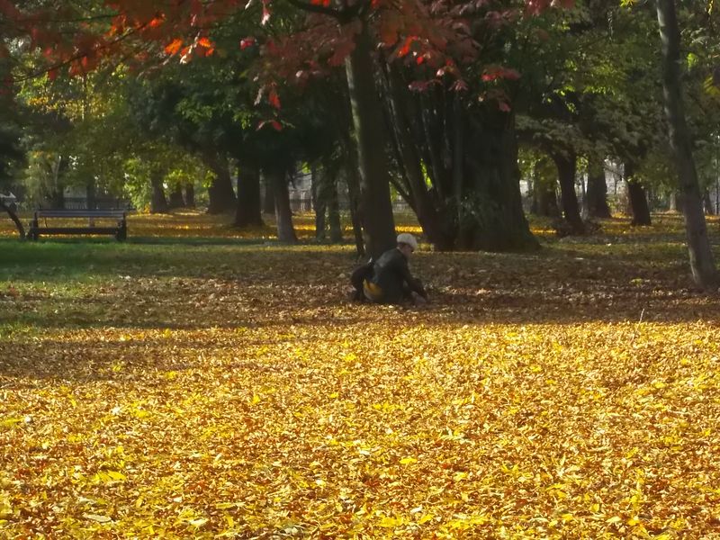 © Andrei  Kolyaskin - Autumn  in  Ivano - Frankivsk  City ,  Ukraine .