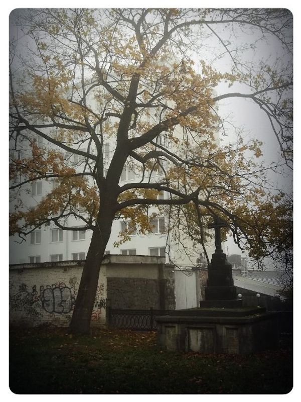 © Andrei  Kolyaskin - Foggy  morning  in  Memorial  Square  of  Ivano - Frankivsk  City , Ukraine .