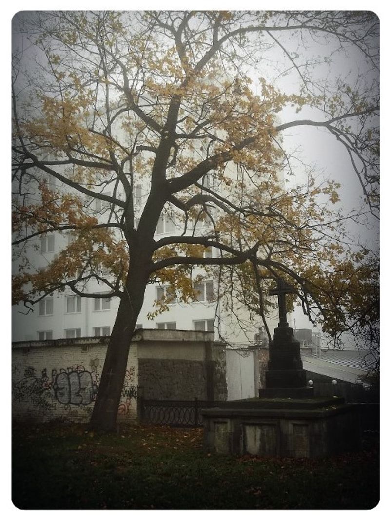 © Andrei  Kolyaskin - Foggy  morning  in  Memorial  Square  of  Ivano - Frankivsk  City , Ukraine .