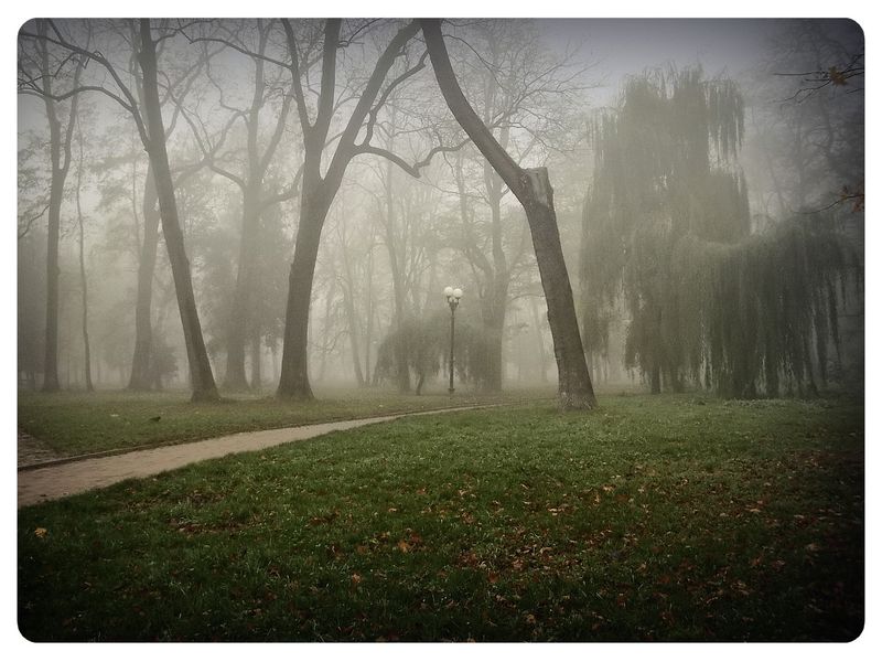 © Andrei  Kolyaskin - Foggy  morning  in  Memorial  Square  of  Ivano - Frankivsk  City , Ukraine .