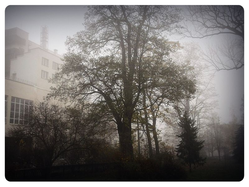 © Andrei  Kolyaskin - Foggy  morning  in  Memorial  Square  of  Ivano - Frankivsk  City , Ukraine .
