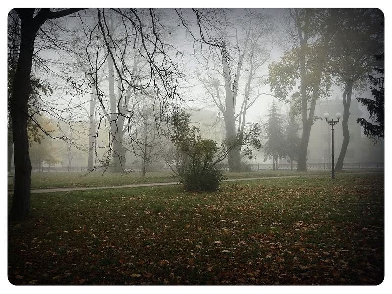 © Andrei  Kolyaskin - Image from the Foggy  morning  in  Ivano - Frankivsk  City  2 photography project