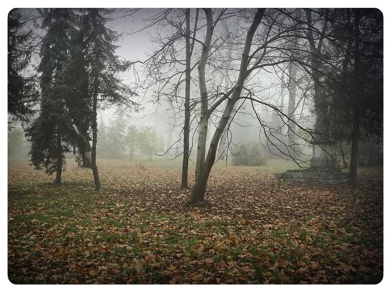 © Andrei  Kolyaskin - Foggy  morning  in  Memorial  Square  of  Ivano - Frankivsk  City , Ukraine .