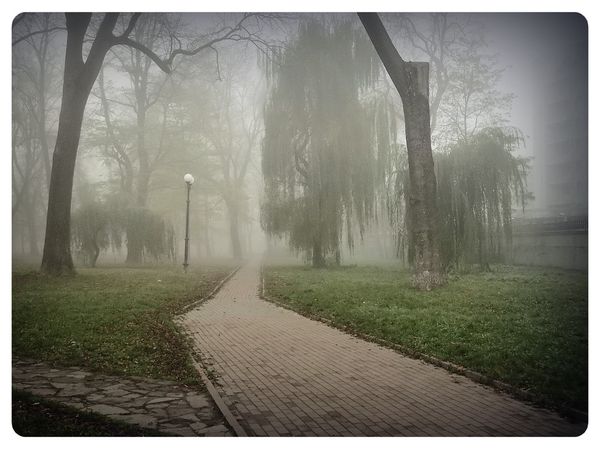© Andrei  Kolyaskin - Foggy  morning  in  Memorial  Square  of  Ivano - Frankivsk  City , Ukraine .