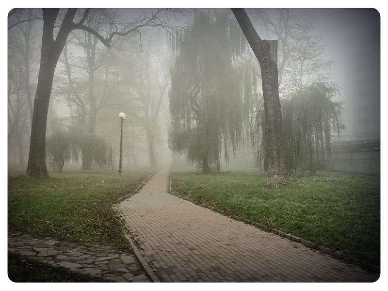 © Andrei  Kolyaskin - Foggy  morning  in  Memorial  Square  of  Ivano - Frankivsk  City , Ukraine .