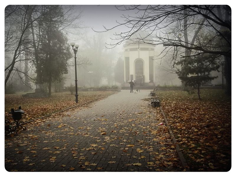 © Andrei  Kolyaskin - Foggy  morning  in  Memorial  Square  of  Ivano - Frankivsk  City , Ukraine .