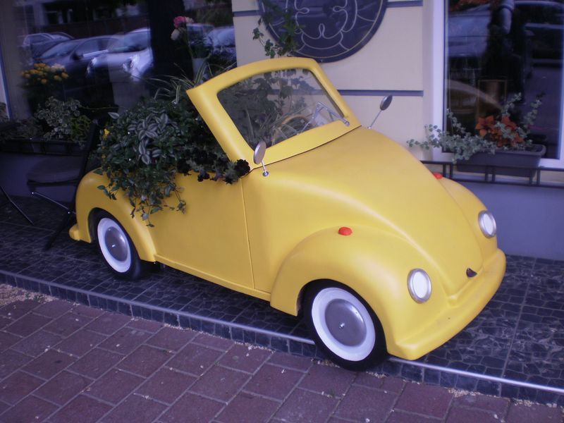 © Andrei  Kolyaskin - Flowers  in  street  decoration  of  Ivano - Frankivsk  City , Ukraine .