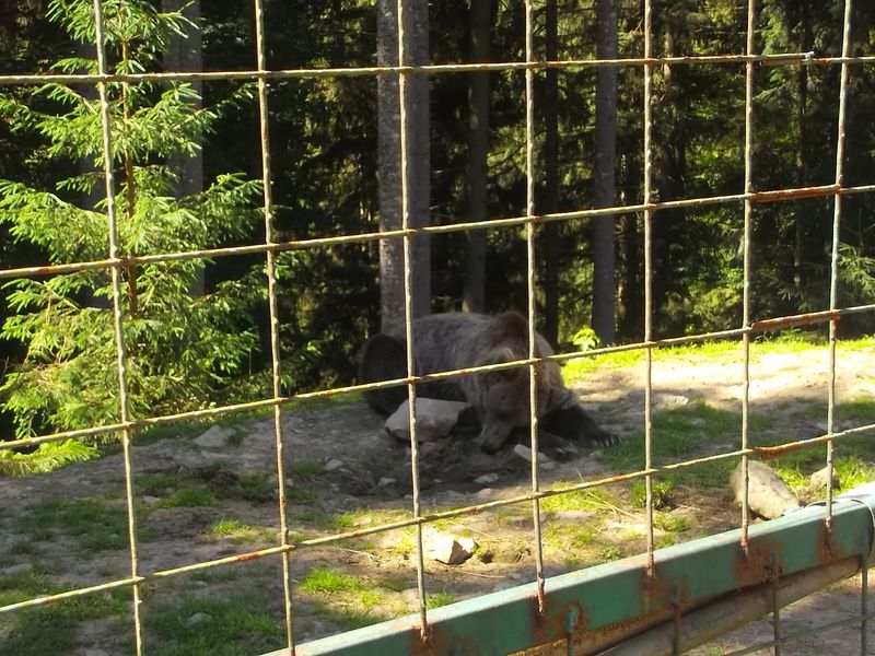 © Andrei  Kolyaskin - Image from the Synevir  4 photography project