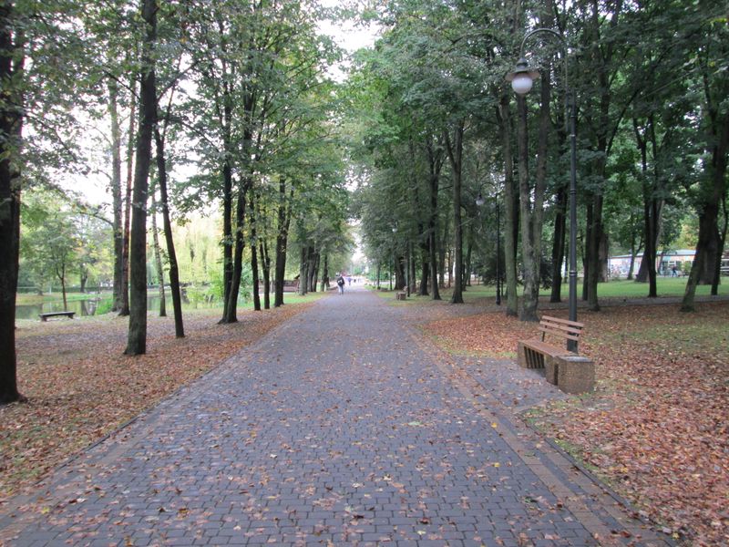 © Andrei  Kolyaskin - Alley  on  the  central  park  of  Ivano - Frankivsk  City , Ukraine .