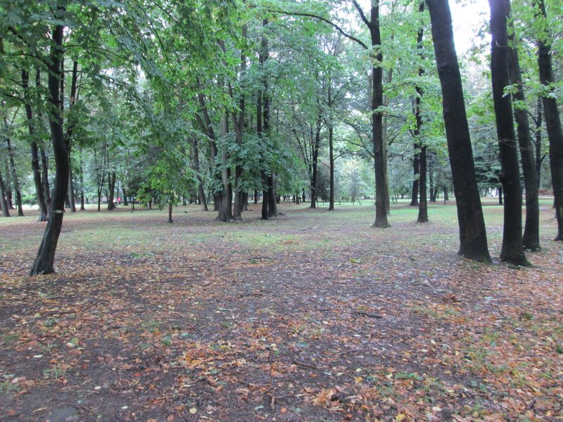 © Andrei  Kolyaskin - On  the  central  park  of   Ivano - Frankivsk  City , Ukraine .