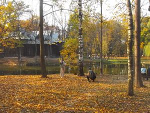 Autumn  in  Ivano - Frankivsk  City 1