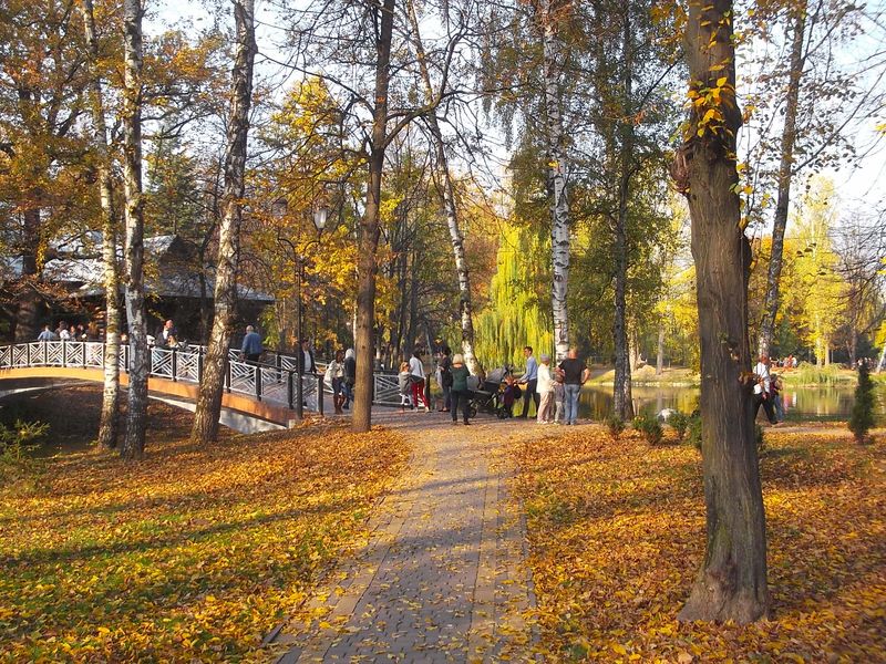 © Andrei  Kolyaskin - Autumn  in  Ivano - Frankivsk  City , Ukraine .