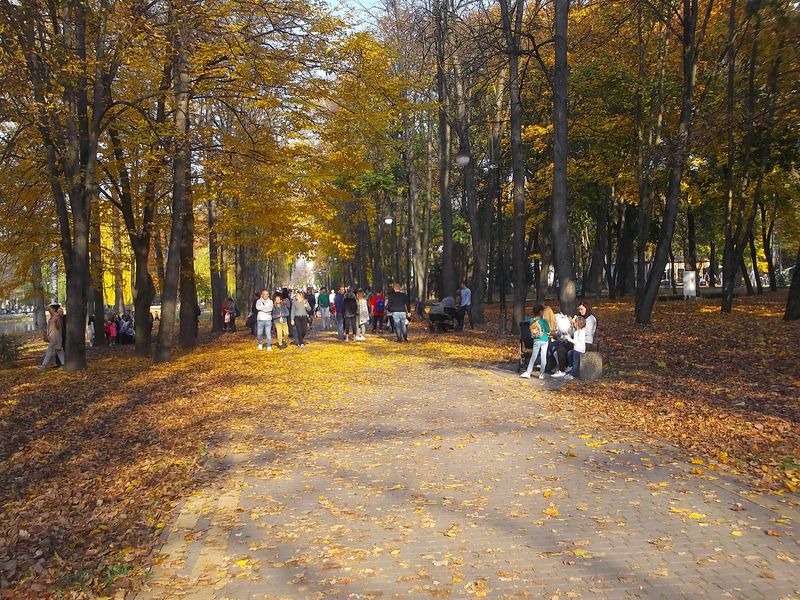 © Andrei  Kolyaskin - Autumn  in  Ivano - Frankivsk  City , Ukraine .