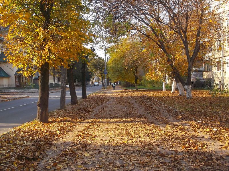 © Andrei  Kolyaskin - Autumn  in  Ivano - Frankivsk  City , Ukraine .
