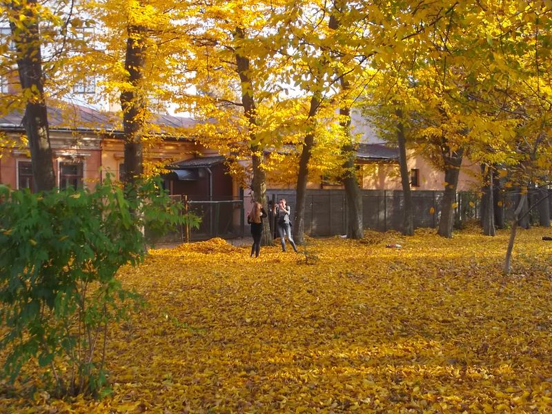 © Andrei  Kolyaskin - Autumn  in  Ivano - Frankivsk  City , Ukraine .