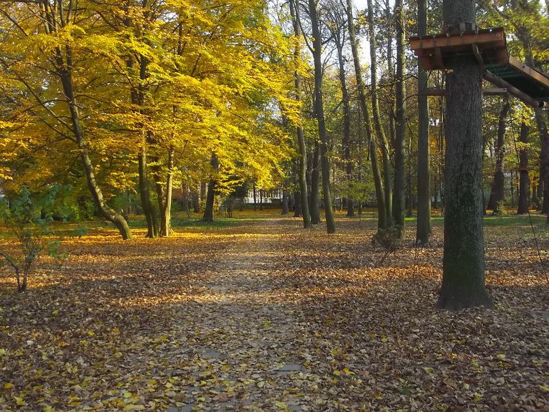 © Andrei  Kolyaskin - Autumn  in  Ivano - Frankivsk  City , Ukraine .