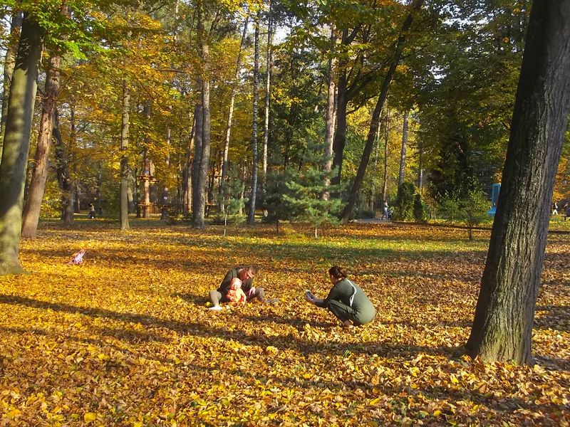 © Andrei  Kolyaskin - Autumn  in  Ivano - Frankivsk  City , Ukraine .