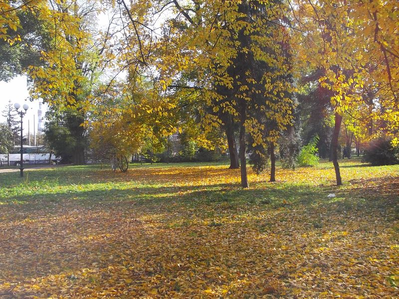 © Andrei  Kolyaskin - Autumn  in  Ivano - Frankivsk  City , Ukraine .
